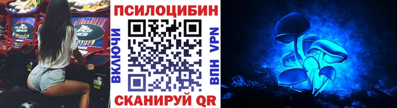 kraken рабочий сайт  Лесной  Псилоцибиновые грибы мицелий 
