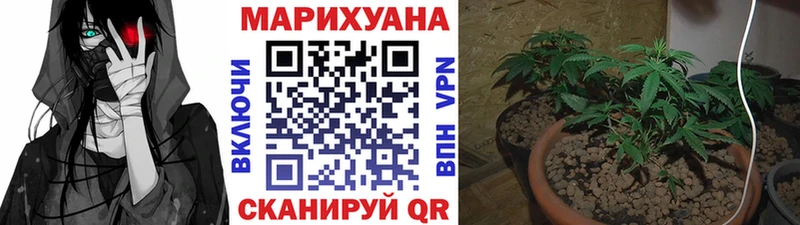 KRAKEN зеркало  Лесной  Канабис конопля  купить  